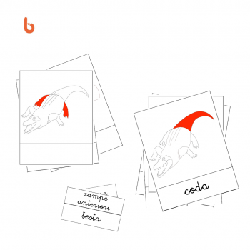 Nessuna immagine impostata 